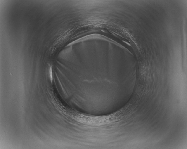 X0000053100027200507251642