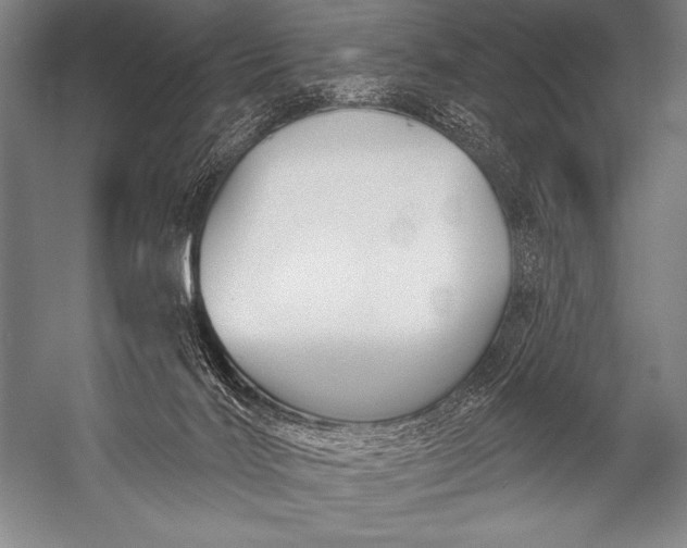 X0000053100028200507251642
