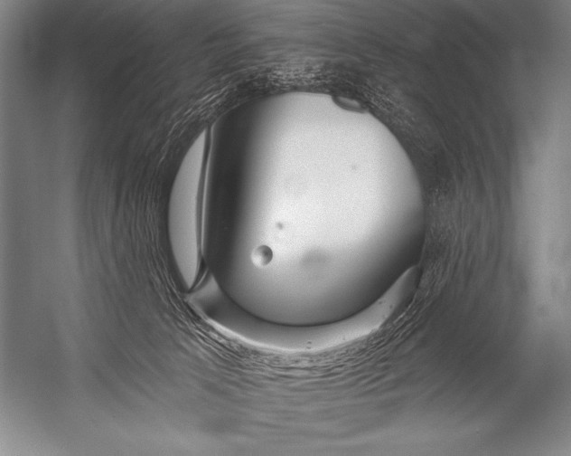 X0000053100033200507251642