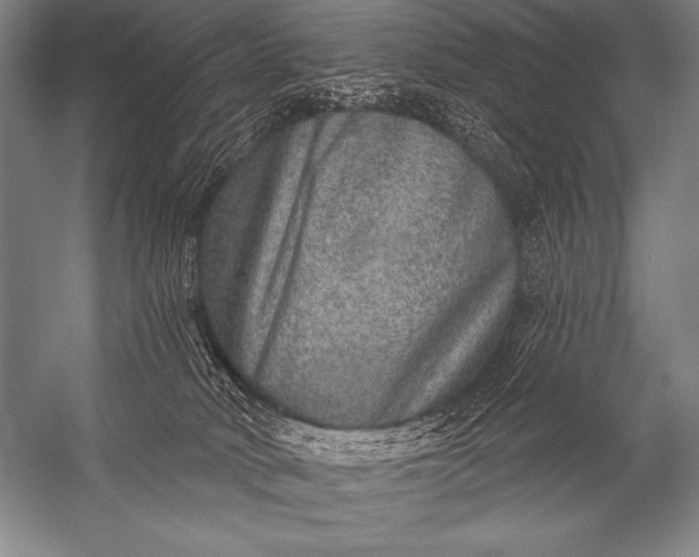 X0000053100034200507251642