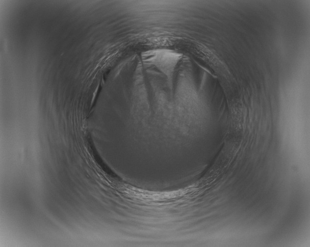 X0000053100035200507251642