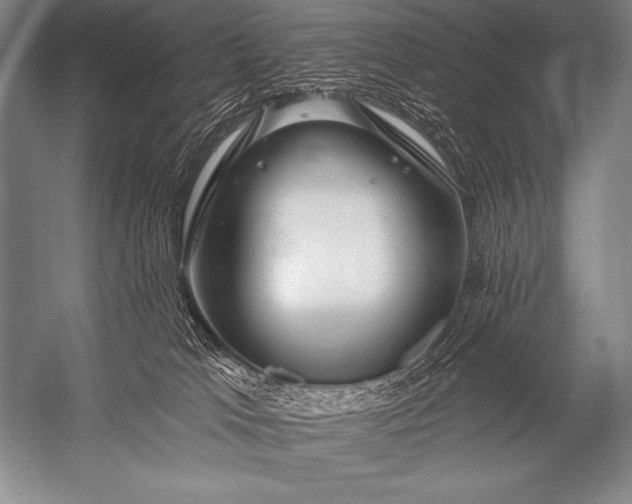 X0000053100037200507251642