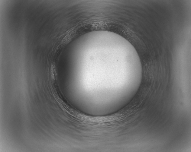 X0000053100038200507251642