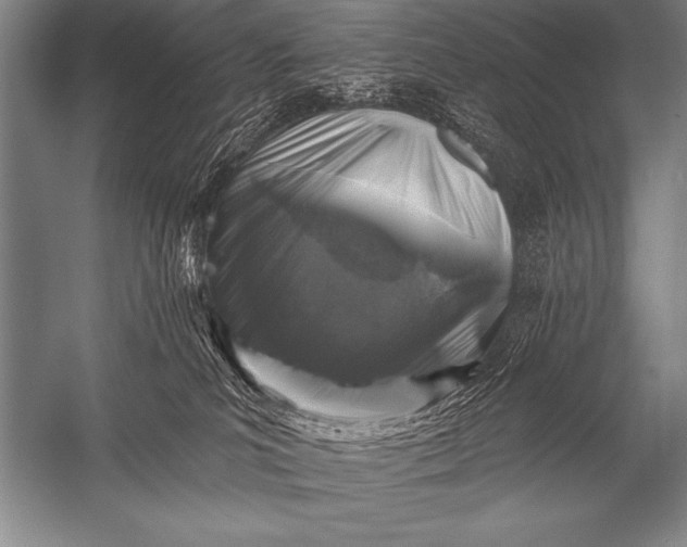 X0000053100039200507251642