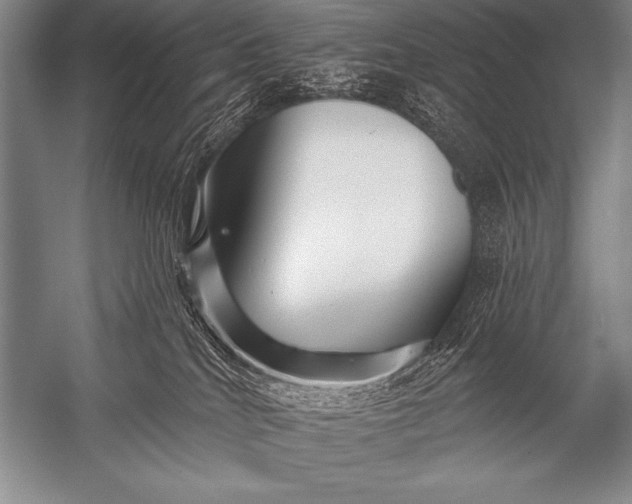 X0000053100040200507251642