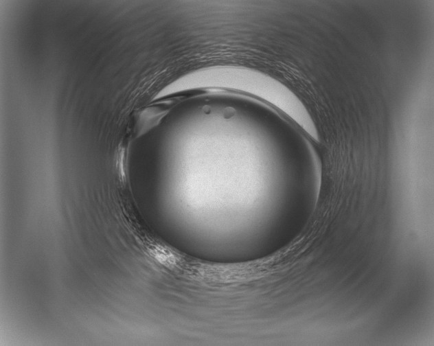 X0000053100041200507251642