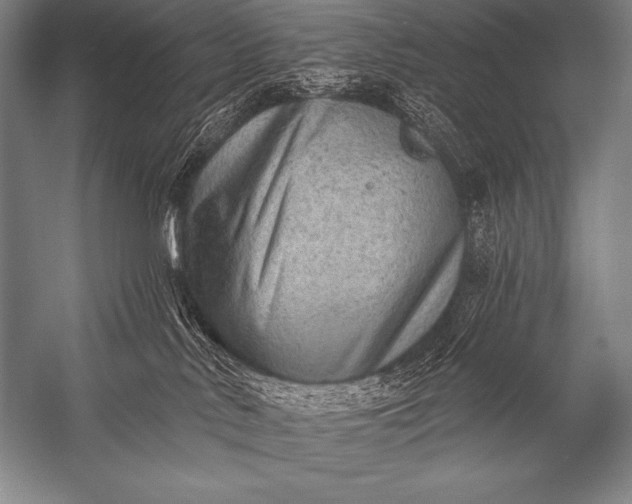 X0000053100042200507251642