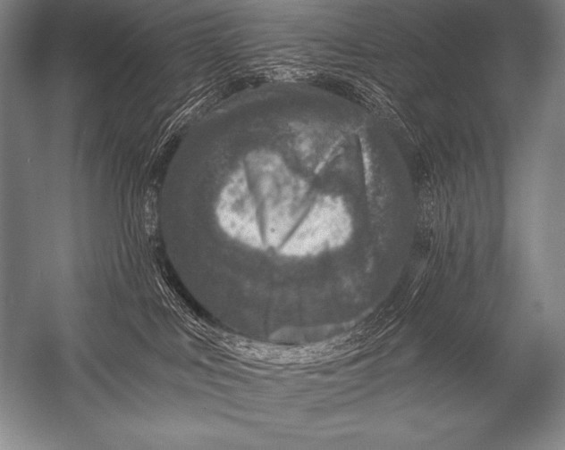 X0000053100043200507251642