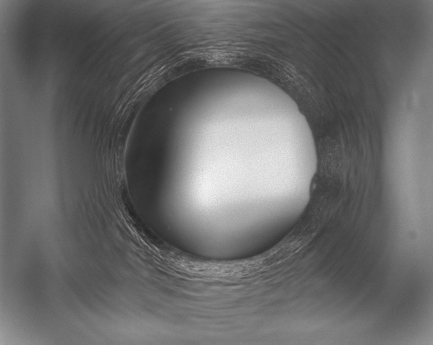 X0000053100044200507251642