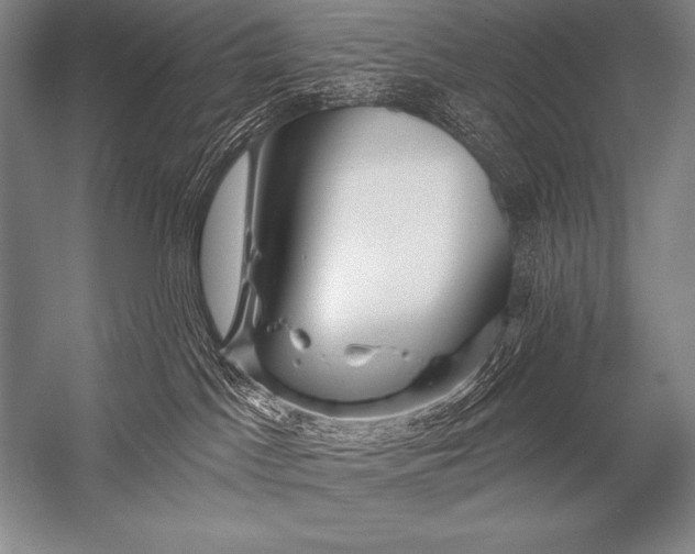X0000053100045200507251642