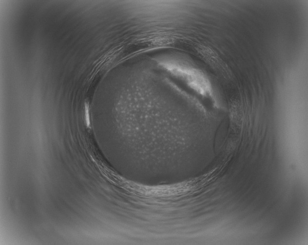 X0000053100046200507251642