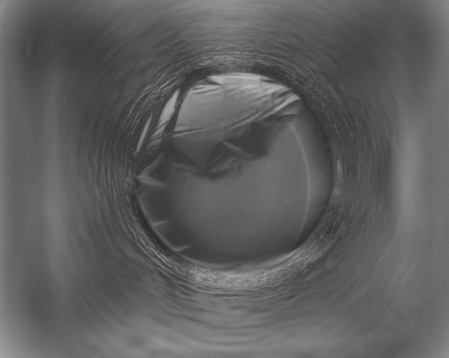X0000053100048200507251642