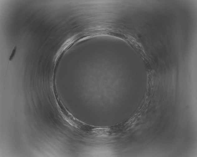 X0000053100051200507251641