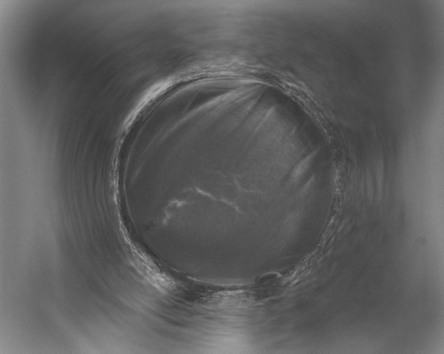 X0000053100054200507251641