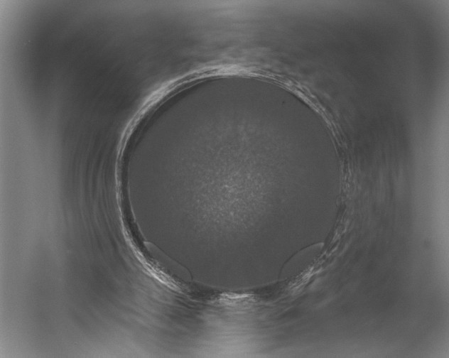 X0000053100055200507251641