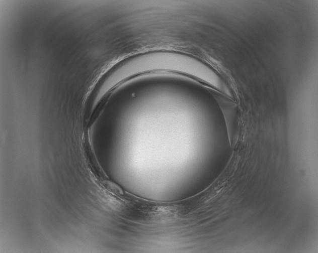 X0000053100060200507251641