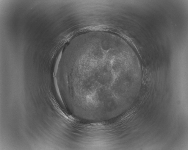X0000053100061200507251641