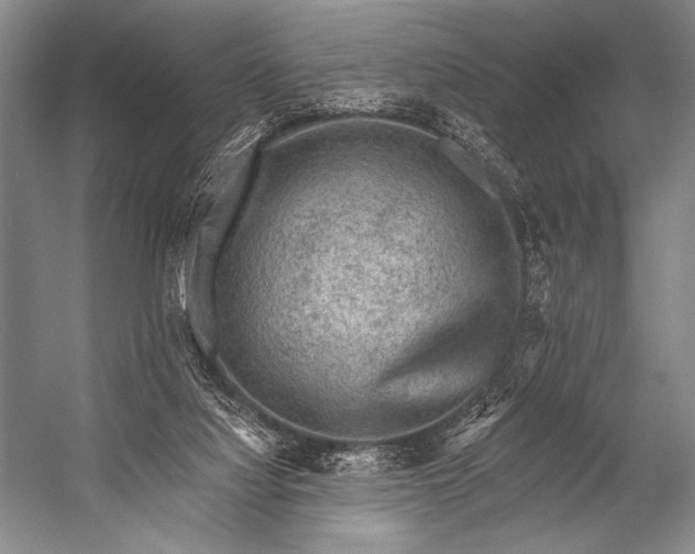 X0000053100068200507251642