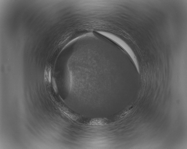 X0000053100076200507251642
