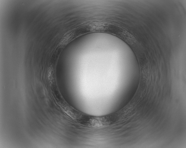 X0000053100079200507251642