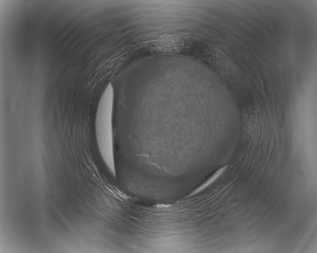 X0000053100080200507251642