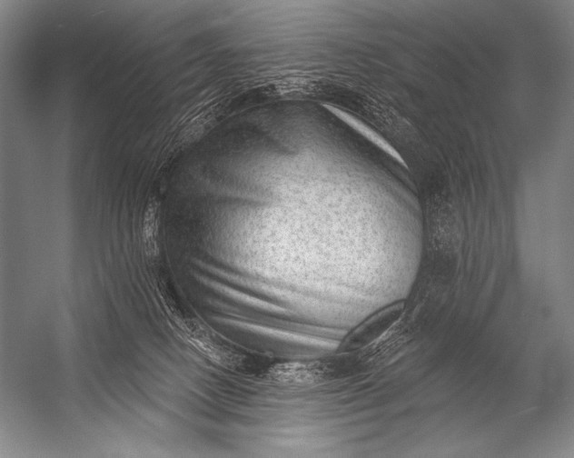 X0000053100082200507251642