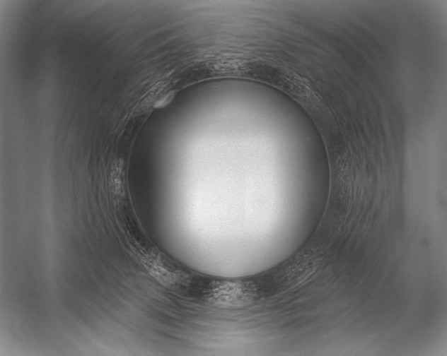 X0000053100083200507251642