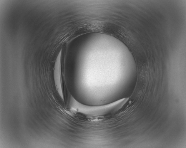 X0000053100084200507251642