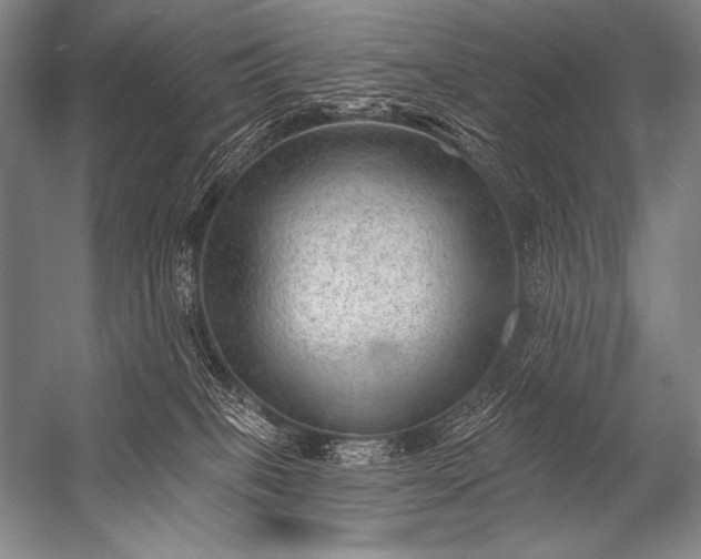 X0000053100085200507251642