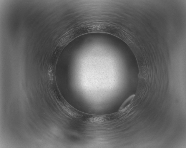 X0000053100086200507251642