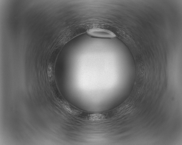 X0000053100087200507251642