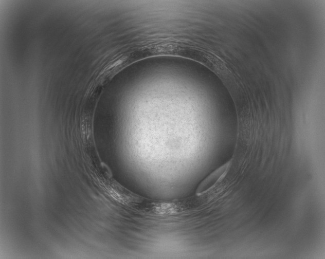 X0000053100091200507251642