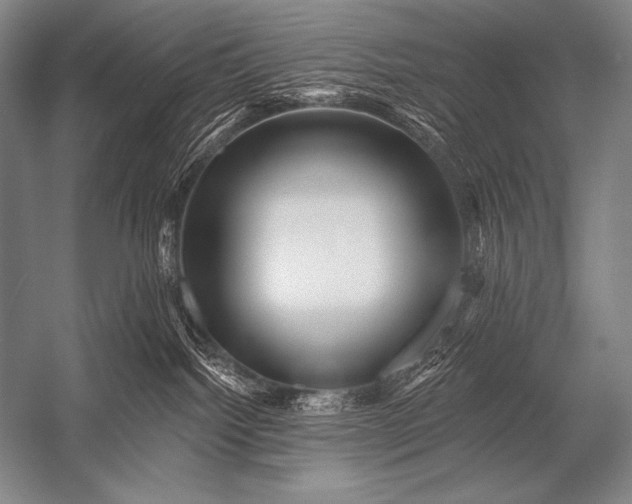 X0000053100092200507251642