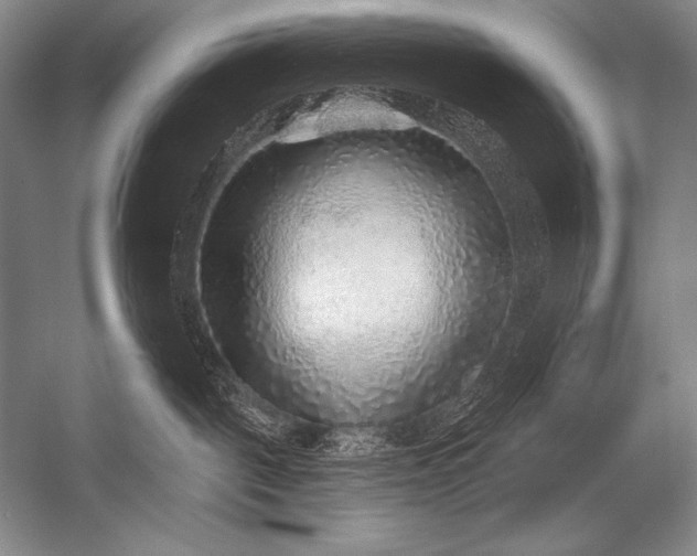 X0000053100093200507251642