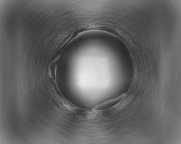 X0000053100096200507251642