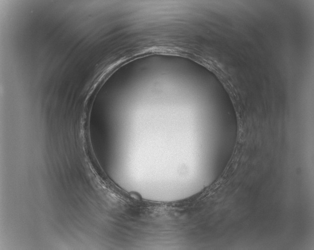X0000053100098200507251641