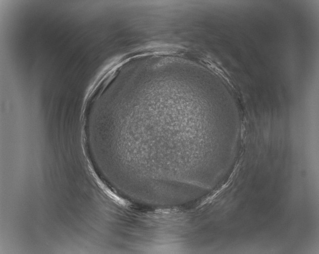 X0000053100101200507251641