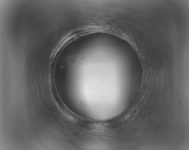 X0000053100103200507251641