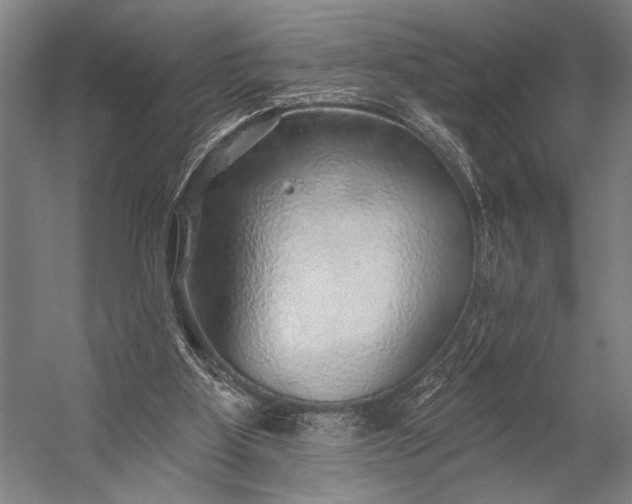 X0000053100107200507251641