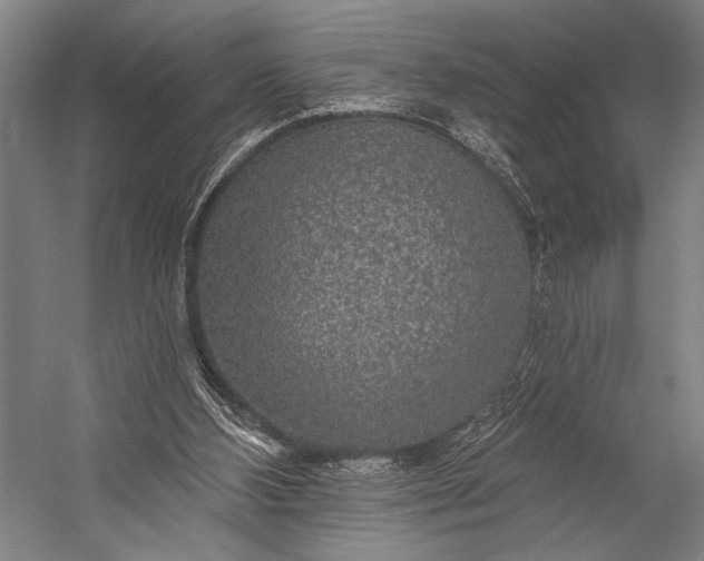 X0000053100108200507251641