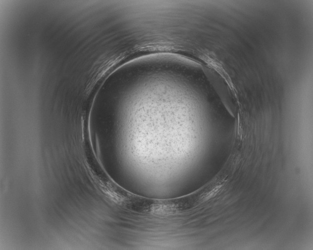 X0000053100109200507251641