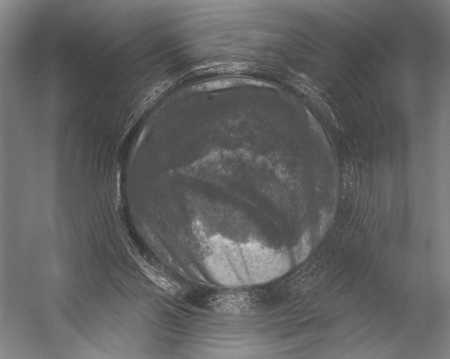X0000053100110200507251641