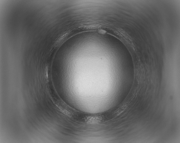 X0000053100115200507251641