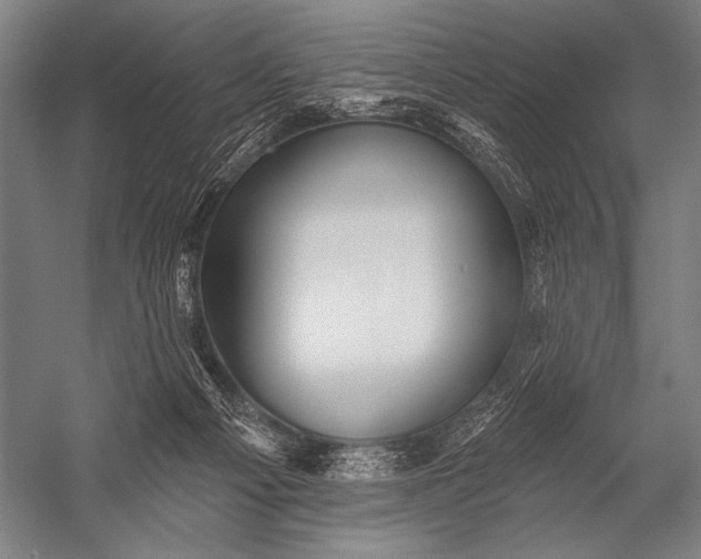 X0000053100121200507251641