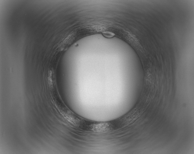 X0000053100122200507251641