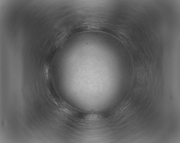 X0000053100123200507251641