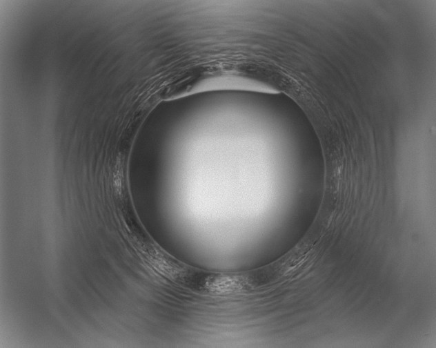 X0000053100129200507251641