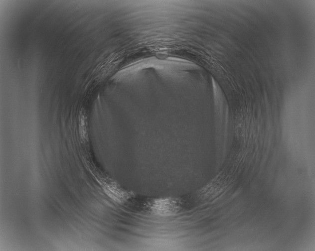 X0000053100130200507251641