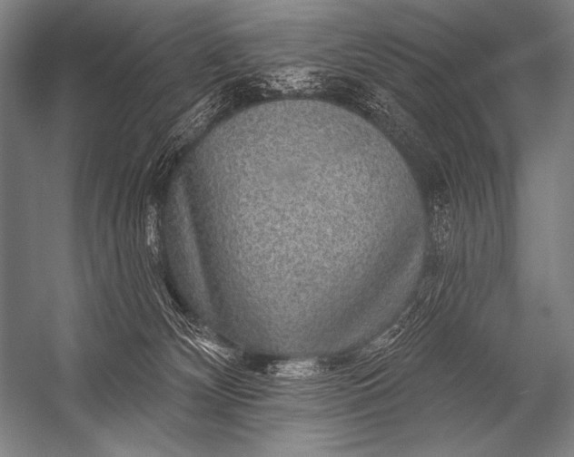 X0000053100132200507251641