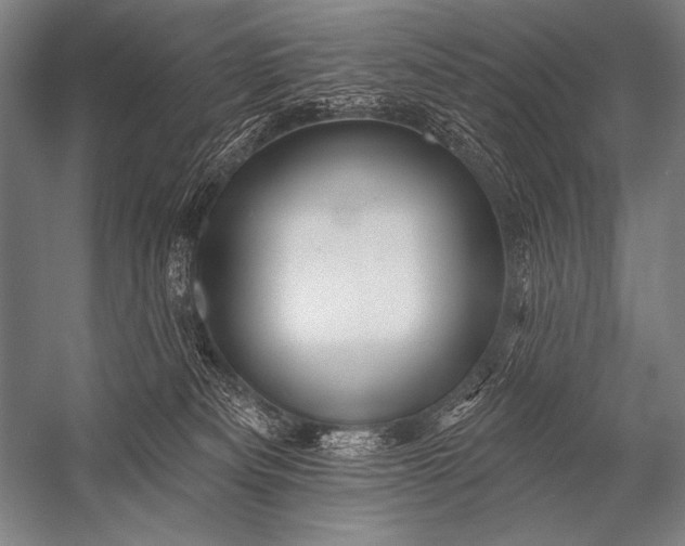 X0000053100133200507251641